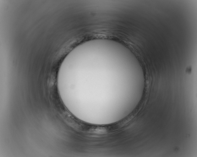 X0000113950665200909251004