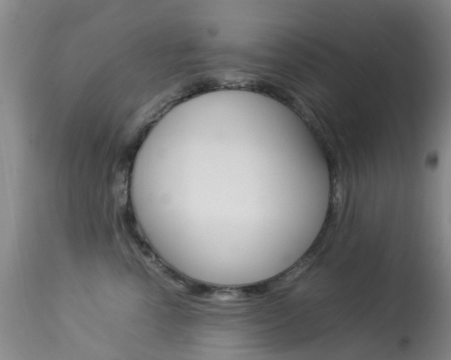 X0000113950666200909251004