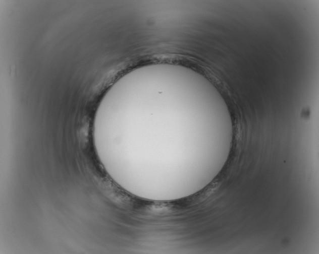 X0000113950668200909251004