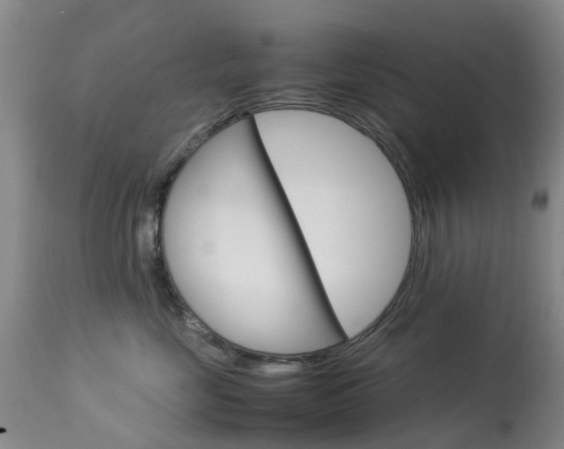 X0000113950669200909251004
