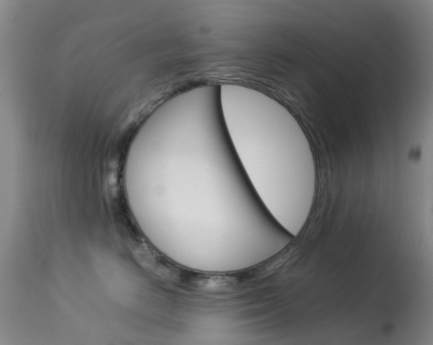 X0000113950670200909251004