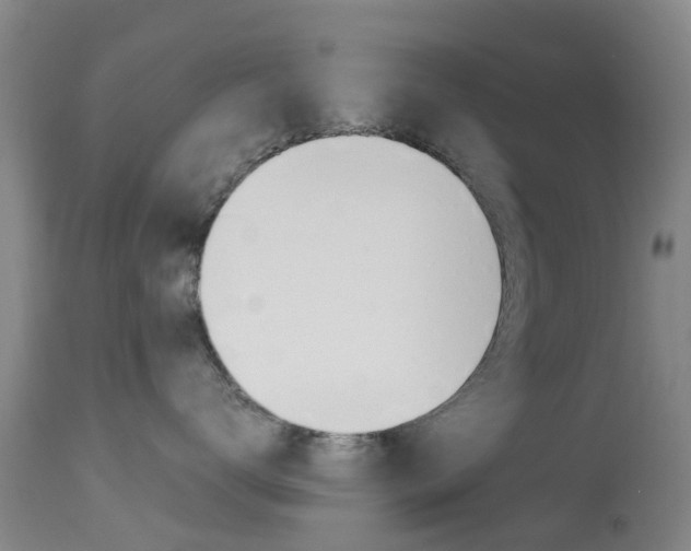 X0000113950672200909251005