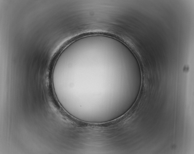 X0000113950676200909251004