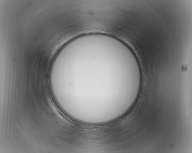 X0000113950677200909251004