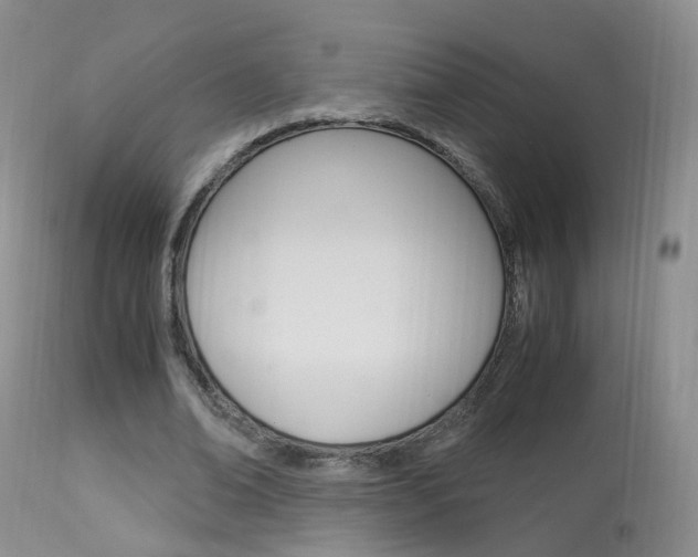 X0000113950678200909251004