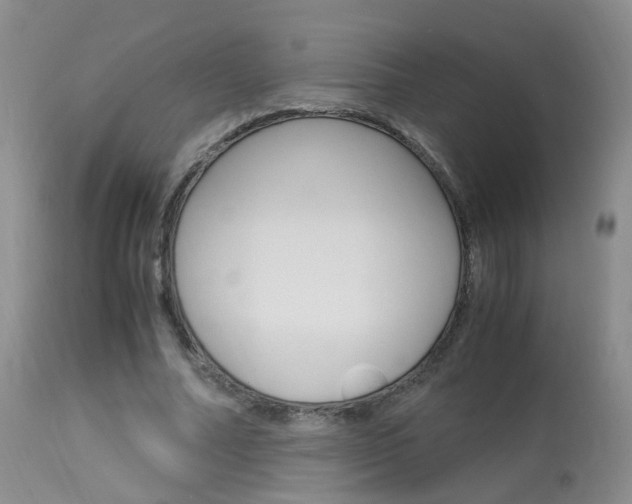 X0000113950682200909251004
