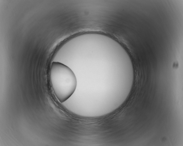 X0000113950684200909251004