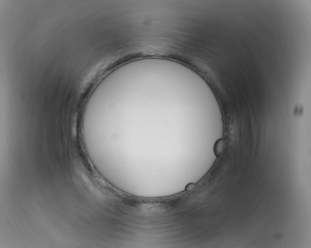 X0000113950686200909251004