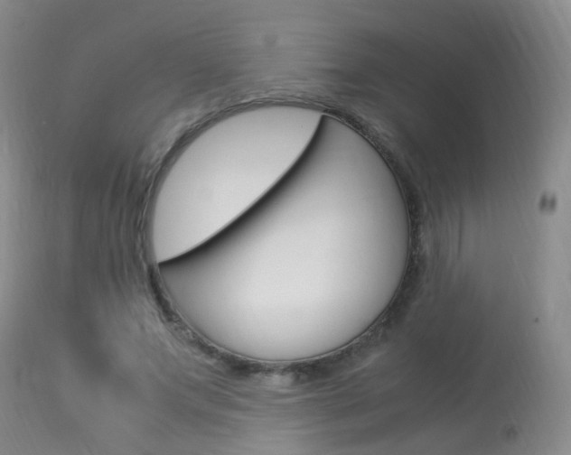 X0000113950687200909251004