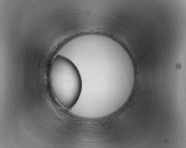 X0000113950688200909251004