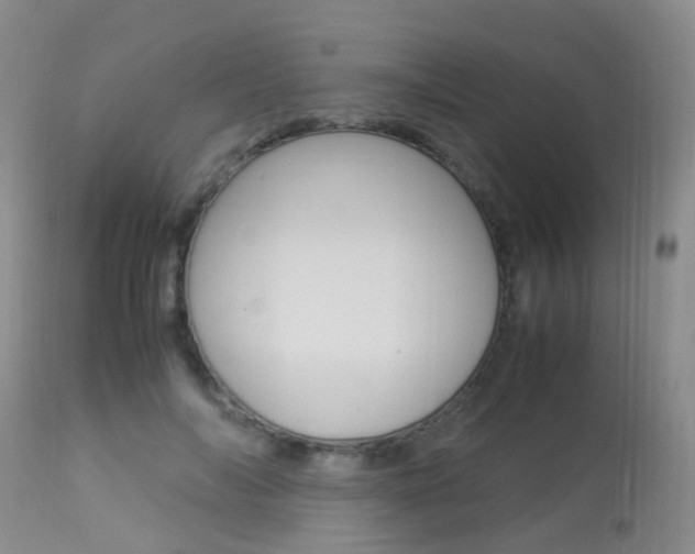 X0000113950694200909251004