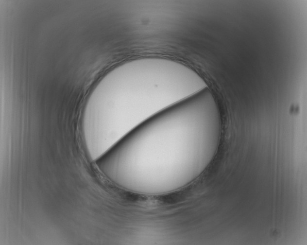 X0000113950695200909251004
