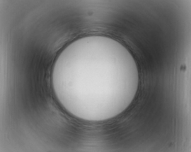 X0000113950696200909251004