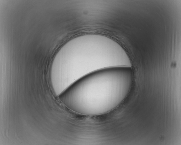 X0000113950697200909251003