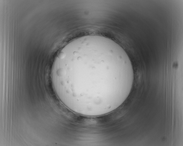X0000113950698200909251003