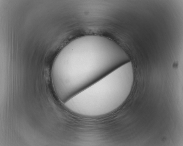 X0000113950699200909251003