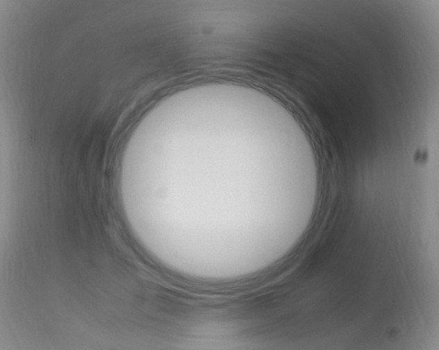 X0000113950701200909251003