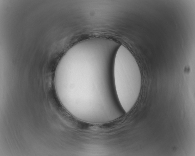 X0000113950703200909251003