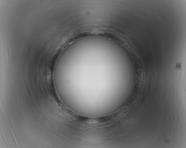 X0000113950704200909251003