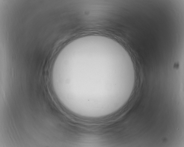 X0000113950705200909251003