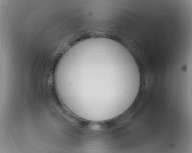 X0000113950706200909251003
