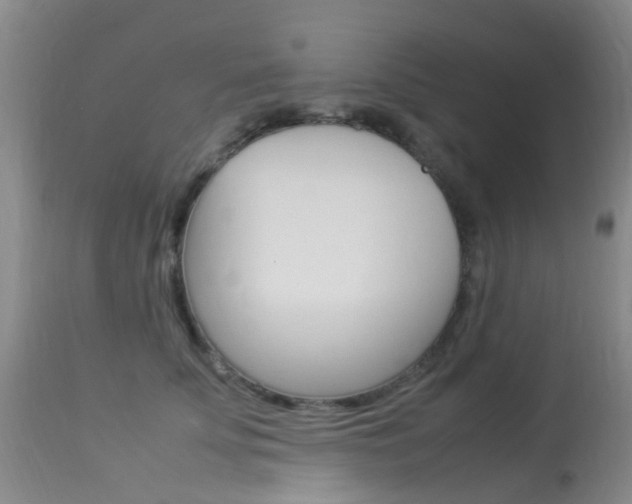 X0000113950707200909251003