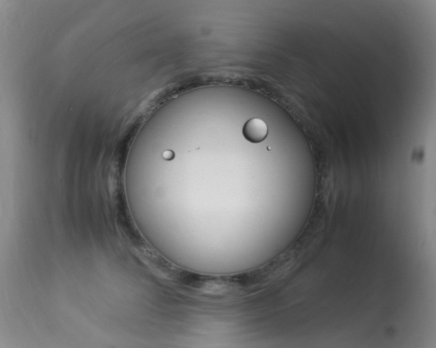 X0000113950708200909251003
