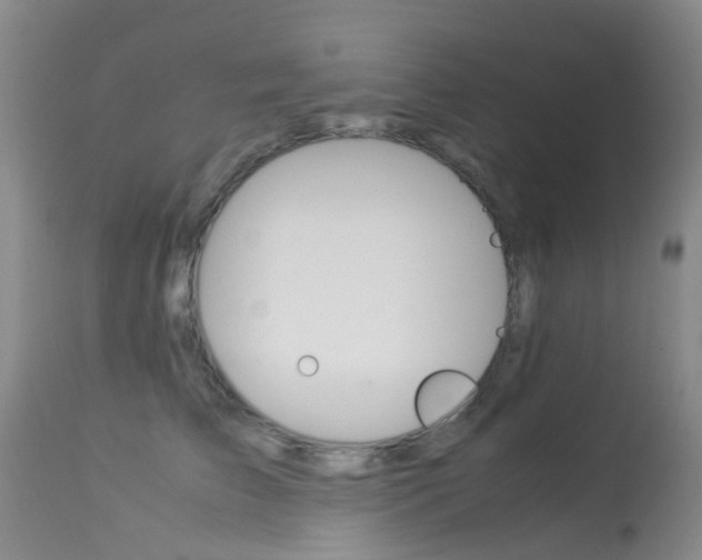 X0000113950709200909251003