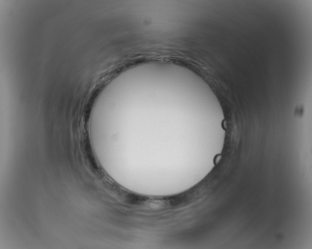 X0000113950711200909251003