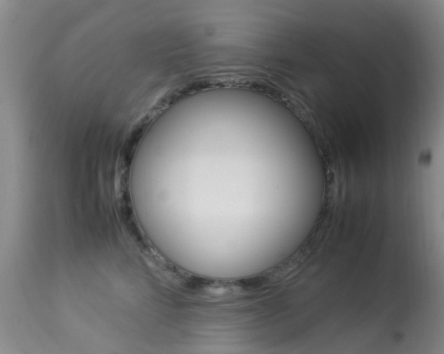 X0000113950712200909251003