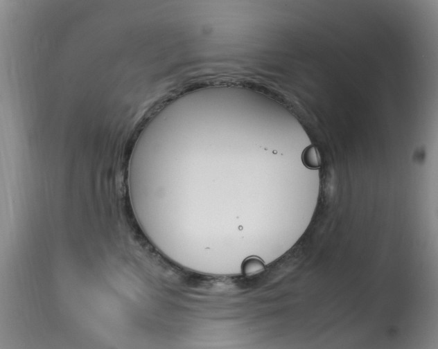 X0000113950715200909251003