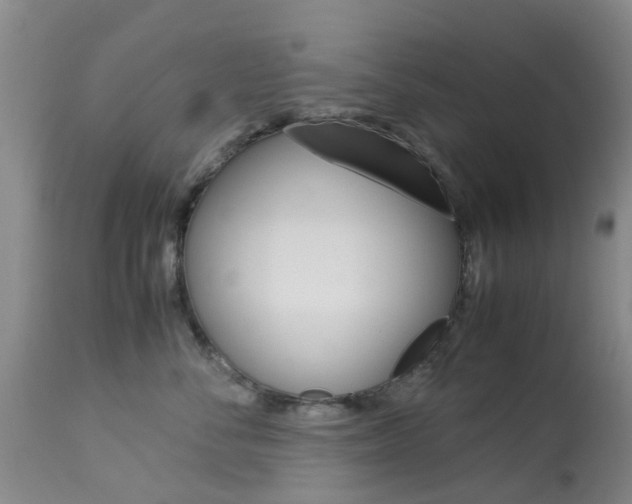 X0000113950716200909251003