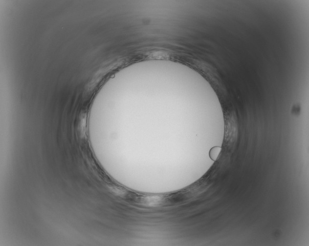 X0000113950717200909251003