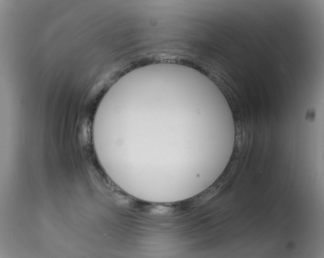 X0000113950718200909251003