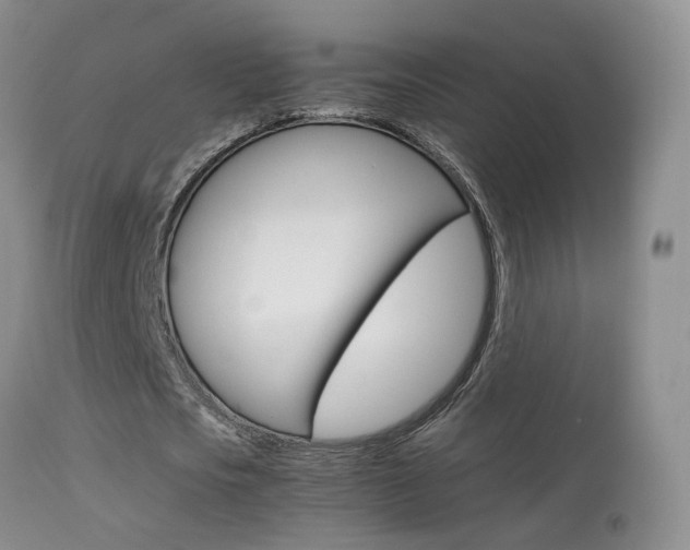 X0000113950721200909251002