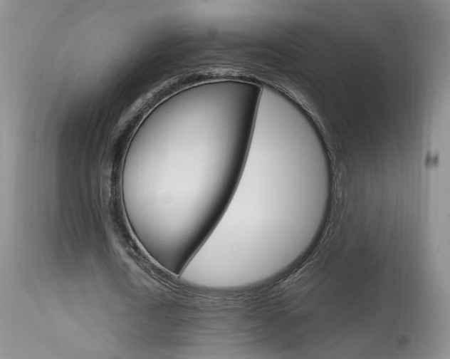 X0000113950722200909251002