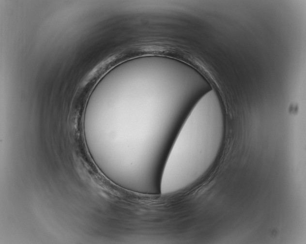 X0000113950723200909251002