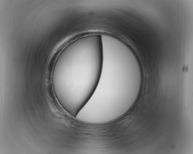 X0000113950724200909251002