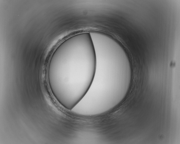 X0000113950726200909251002