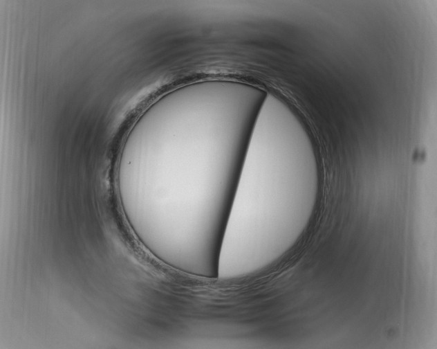 X0000113950727200909251002