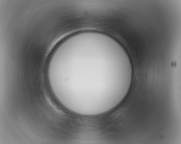 X0000113950728200909251003