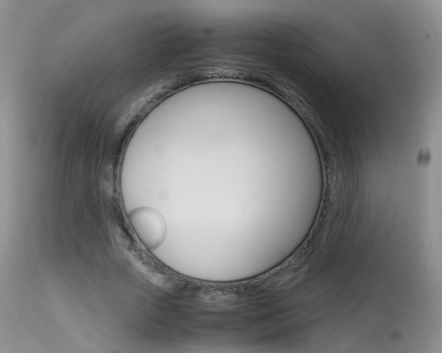 X0000113950729200909251003