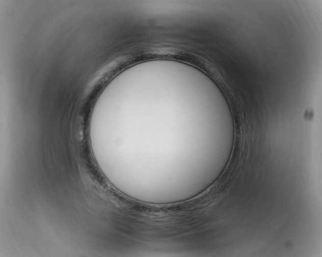 X0000113950731200909251003