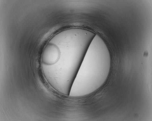 X0000113950734200909251003