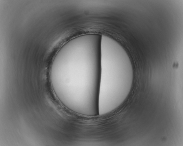 X0000113950735200909251003