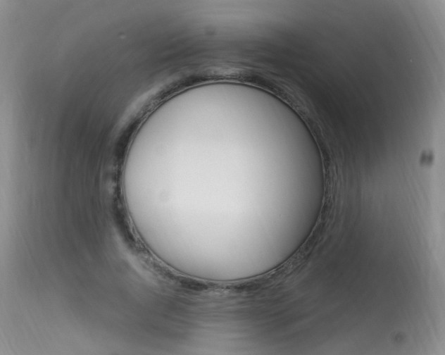 X0000113950736200909251003