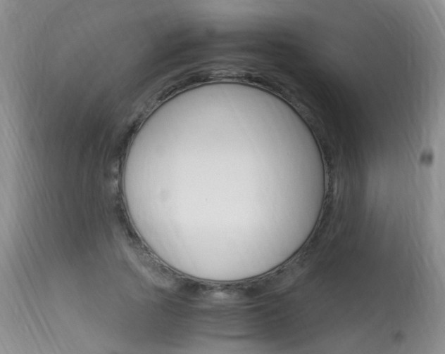 X0000113950737200909251003