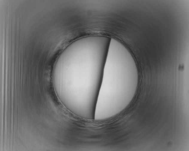 X0000113950739200909251003
