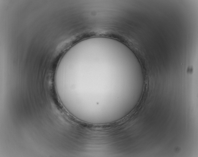X0000113950740200909251003