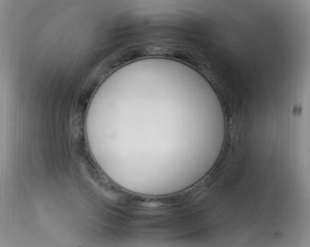 X0000113950741200909251003